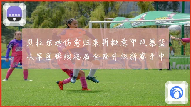 贝拉尔迪伤愈归来再掀意甲风暴蓝衣军团锋线格局全面升级新赛季中成长观察